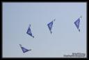18/04/10 Cerfs Volants