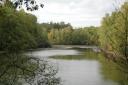 Rambouillet